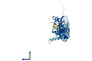 AlphaFold protein structure predicition of Mouse Recombinant Ankrd61 Protein, UniprotID Q9CQM6 (ANKRD61 Protein (AA 1-421) (His tag))