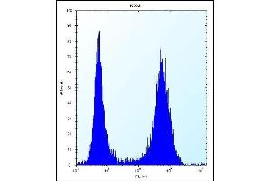 ND3 Antibody (N-term) (ABIN656244 and ABIN2845561) flow cytometric analysis of K562 cells (right histogram) compared to a negative control cell (left histogram). (MT-ND3 antibody  (N-Term))