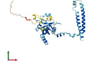 AlphaFold protein structure predicition of Mouse Recombinant Psmd14 Protein, UniprotID O35593