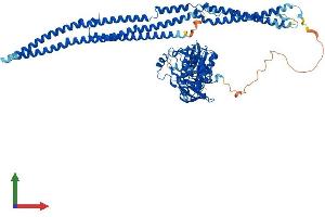 Protein Structure (PS) image for Feline Sarcoma Oncogene (FES) (AA 1-822) protein (His tag) (ABIN7562908)