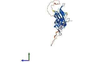 AlphaFold protein structure predicition of Mouse Recombinant Kcnj14 Protein, UniprotID Q8JZN3