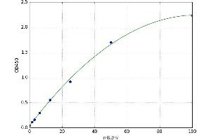 Ornithine Carbamoyltransferase (OTC) ELISA Kit