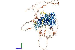 AlphaFold protein structure predicition of Human Recombinant SYDE1 Protein, UniprotID Q6ZW31 (SYDE1 Protein (AA 1-735) (His tag))