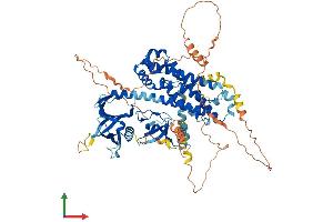 Protein Structure (PS) image for Neuronal Guanine Nucleotide Exchange Factor (NGEF) (AA 1-710) protein (His tag) (ABIN7554726)