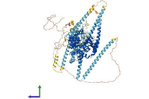 Protein Structure (PS) image for TBC1 Domain Family, Member 2 (TBC1D2) (AA 1-922) protein (His tag) (ABIN7562033)