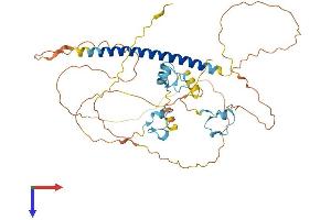 AlphaFold protein structure predicition of Human Recombinant ZC3H10 Protein, UniprotID Q96K80