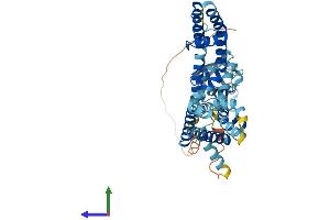AlphaFold protein structure predicition of Human Recombinant KCNG2 Protein, UniprotID Q9UJ96 (Kcng2 Protein (AA 1-466) (His tag))