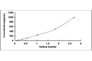 Typical standard curve
