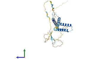 AlphaFold protein structure predicition of Human Recombinant HES1 Protein, UniprotID Q14469