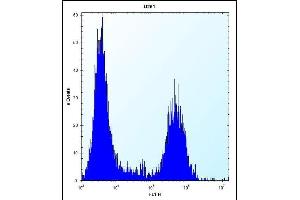 T Antibody (N-term) (ABIN656684 and ABIN2845922) flow cytometric analysis of  cells (right histogram) compared to a negative control cell (left histogram). (Tropomyosin 4 antibody  (N-Term))