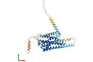 AlphaFold protein structure predicition of Human Recombinant GPR52 Protein, UniprotID Q9Y2T5 (GPR52 Protein (AA 1-361) (His tag))
