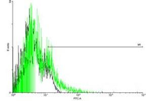 FACS analysis of negative control 293 cells (Black) and F2R expressing 293 cells (Green) using F2R purified MaxPab mouse polyclonal antibody. (PAR1 antibody  (AA 1-425))