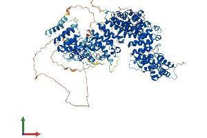 AlphaFold protein structure predicition of Mouse Recombinant Heatr6 Protein, UniprotID Q6P1G0