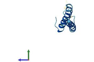 AlphaFold protein structure predicition of Human Recombinant TMEM258 Protein, UniprotID P61165 (TMEM258 Protein (AA 1-79) (Fc Tag))