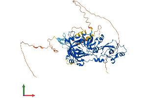 AlphaFold protein structure predicition of Human Recombinant MBTD1 Protein, UniprotID Q05BQ5