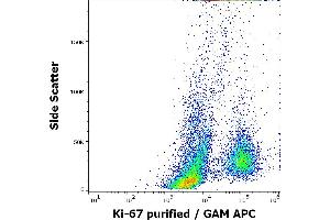 Flow cytometry intracellular staining pattern of human PHA stimulated peripheral whole blood stained using anti-human Ki-67 (Ki-67) purified antibody (concentration in sample 0. (Ki-67 antibody)