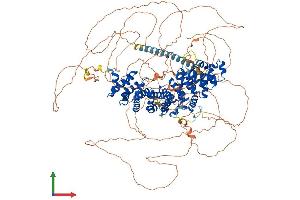 AlphaFold protein structure predicition of Mouse Recombinant Pkp4 Protein, UniprotID Q68FH0