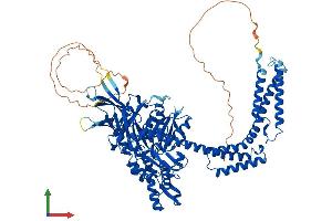 AlphaFold protein structure predicition of Mouse Recombinant Hspa4l Protein, UniprotID P48722