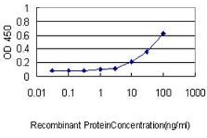 Detection limit for recombinant GST tagged UCHL1 is approximately 1ng/ml as a capture antibody. (UCHL1 antibody  (AA 1-223))