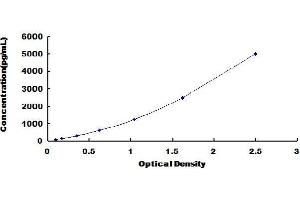 Typical Standard Curve (Keratin 33A ELISA Kit)
