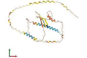 AlphaFold protein structure predicition of Human Recombinant ARIH2OS Protein, UniprotID Q8N7S6 (ARIH2OS Protein (AA 1-290) (His tag))