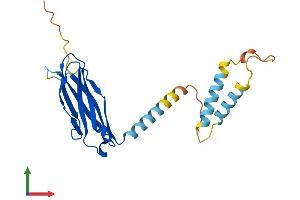 AlphaFold protein structure predicition of Human Recombinant MOSPD1 Protein, UniprotID Q9UJG1 (MOSPD1 Protein (AA 1-213) (His tag))