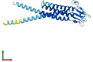 AlphaFold protein structure predicition of Human Recombinant LHFPL3 Protein, UniprotID Q86UP9 (LHFPL3 Protein (AA 1-236) (His tag))