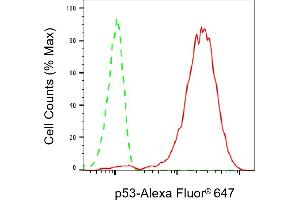 Flow cytometric analysis of p53 expression in HeLa cells using p53 antibody (ABIN7800686), 1:2,000). (Recombinant p53 antibody)