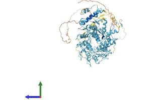 AlphaFold protein structure predicition of Human Recombinant ZNF43 Protein, UniprotID P17038