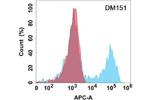 Flow cytometry analysis with Anti-TACI (DM151) on Expi293 cells transfected with human TACI (Blue histogram) or Expi293 transfected with irrelevant protein (Red histogram). (TACI antibody  (AA 2-166))