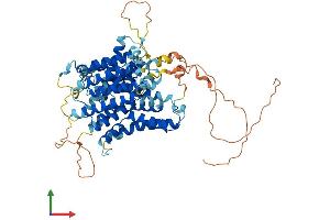 Protein Structure (PS) image for Solute Carrier Family 23 Member 3 (SLC23A3) (AA 1-610) protein (His tag) (ABIN7551641)