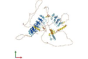 AlphaFold protein structure predicition of Human Recombinant ANKS6 Protein, UniprotID Q68DC2 (ANKS6 Protein (AA 1-871) (His tag))