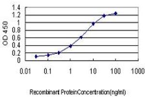 Detection limit for recombinant GST tagged PTK2 is approximately 0. (FAK antibody  (AA 355-490))