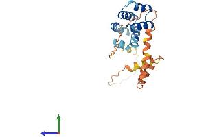 AlphaFold protein structure predicition of Human Recombinant CARD16 Protein, UniprotID Q5EG05