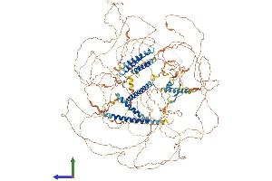 AlphaFold protein structure predicition of Human Recombinant AKNA Protein, UniprotID Q7Z591