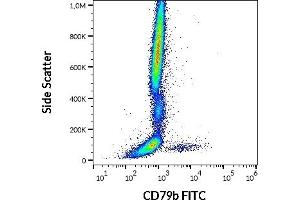 Flow cytometry surface staining pattern of human peripheral whole blood stained using anti-human CD79b (CB3-1) FITC antibody (4 μL reagent / 100 μL of peripheral whole blood).