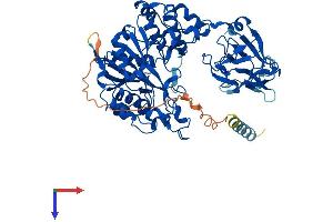 AlphaFold protein structure predicition of Human Recombinant GALNT10 Protein, UniprotID Q86SR1 (GALNT10 Protein (AA 1-603) (His tag))