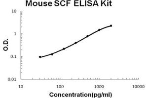 Mouse SCF PicoKine ELISA Kit standard curve