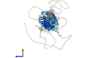 AlphaFold protein structure predicition of Human Recombinant SLC12A2 Protein, UniprotID P55011 (SLC12A2 Protein (AA 1-1212) (His tag))