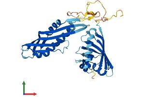 AlphaFold protein structure predicition of Mouse Recombinant Ahsa1 Protein, UniprotID Q8BK64