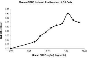SDS-PAGE of Mouse Glial Derived Neurotrophic Factor Recombinant Protein Bioactivity of Mouse Glial Derived Neurotrophic Factor Recombinant Protein. (GDNF Protein)