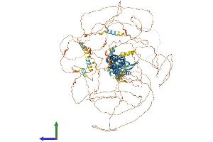 AlphaFold protein structure predicition of Mouse Recombinant Cramp1 Protein, UniprotID Q6PG95 (CRAMP1 (AA 1-1285) protein (His tag))