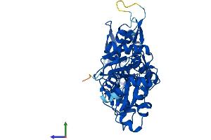 AlphaFold protein structure predicition of Human Recombinant ACTG1 Protein, UniprotID P63261