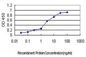 ELISA image for anti-Cold Shock Domain Containing C2, RNA Binding (CSDC2) (AA 1-153) antibody (ABIN565357)