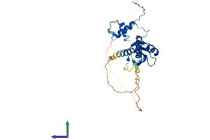 AlphaFold protein structure predicition of Mouse Recombinant Cish Protein, UniprotID Q62225 (CISH Protein (AA 1-257) (His tag))