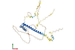 AlphaFold protein structure predicition of Mouse Recombinant Tlx1 Protein, UniprotID P43345 (TLX1 Protein (AA 1-332) (His tag))