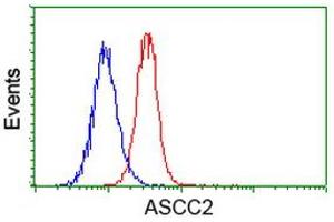 Flow cytometric Analysis of Hela cells, using anti-ASCC2 antibody (ABIN2454505), (Red), compared to a nonspecific negative control antibody, (Blue). (ASCC2 antibody)