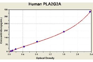 Diagramm of the ELISA kit to detect Human PLA2G2Awith the optical density on the x-axis and the concentration on the y-axis.