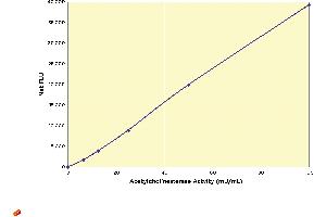 Image no. 1 for Acetylcholinesterase Fluorescent Activity Kit, 2 Plate (ABIN577658) (Acetylcholinesterase Fluorescent Activity Kit, 2 Plate)