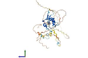 AlphaFold protein structure predicition of Mouse Recombinant Foxh1 Protein, UniprotID O88621 (FOXH1 Protein (AA 1-401) (His tag))